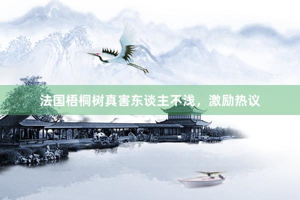 法国梧桐树真害东谈主不浅，激励热议
