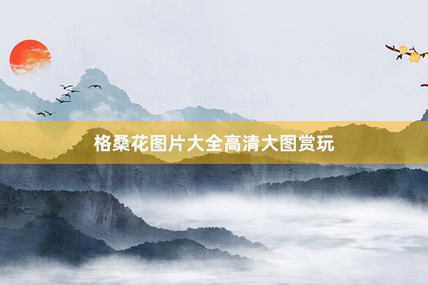 格桑花图片大全高清大图赏玩