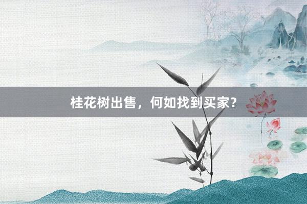 桂花树出售，何如找到买家？